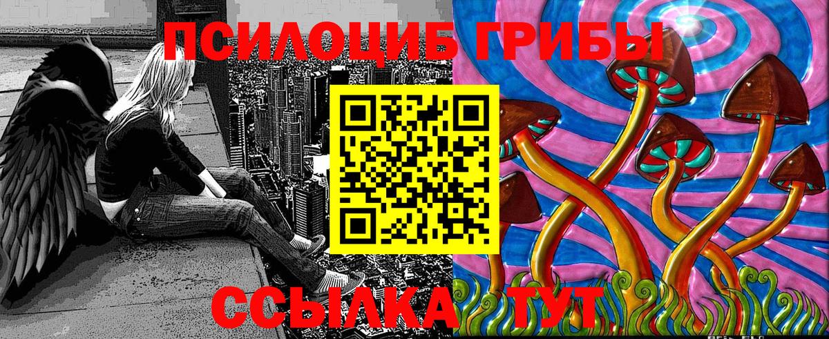 Гудермес  Псилоцибиновые грибы мухоморы  Вход с VPN  даркнет сайт  Псилоцибиновые грибы ЛСД 