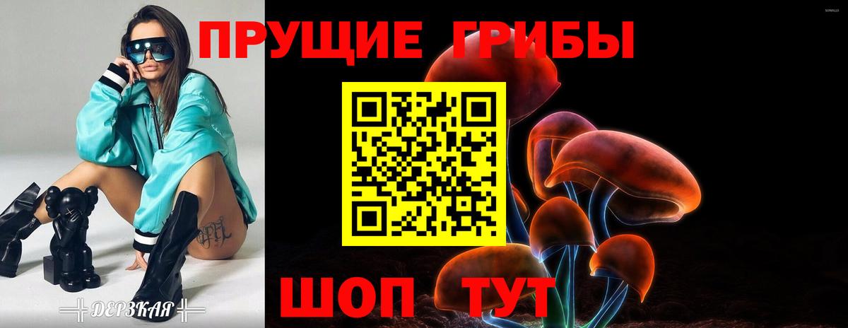 Галлюциногенные грибы Psilocybe Гудермес